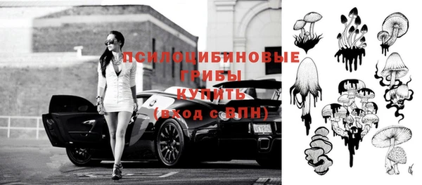 apvp Алексин