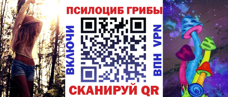 Галлюциногенные грибы Psilocybe  ОМГ ОМГ маркетплейс  Петропавловск-Камчатский 